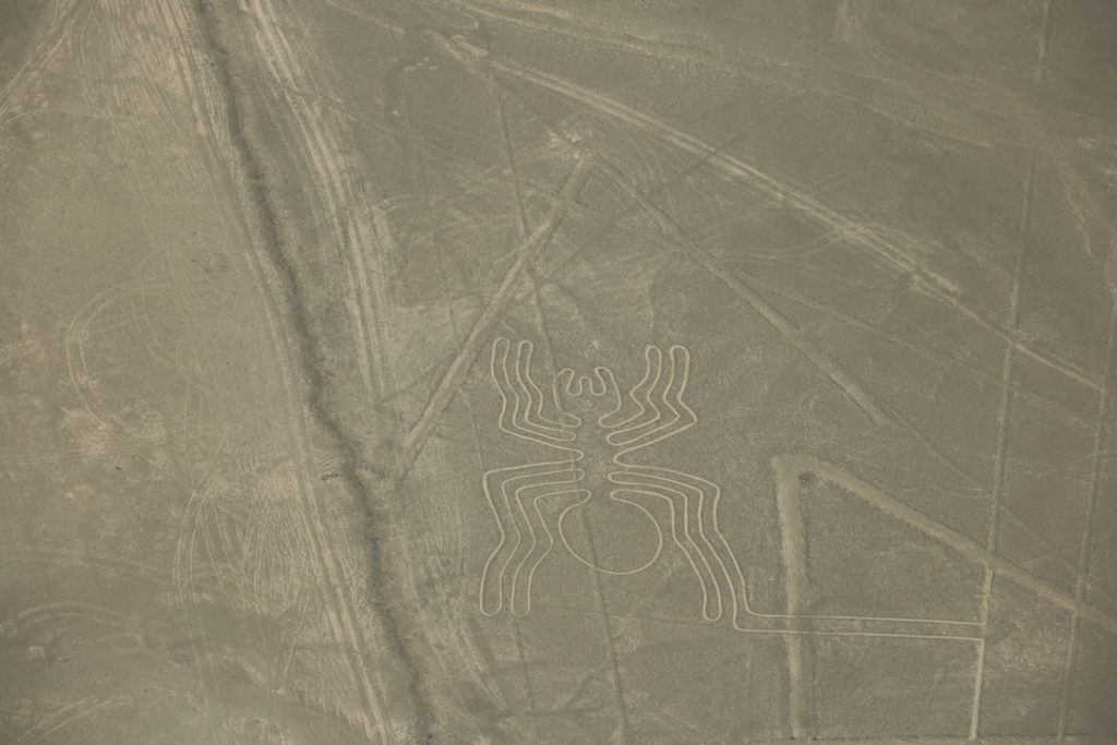 Nazca Linien Spider