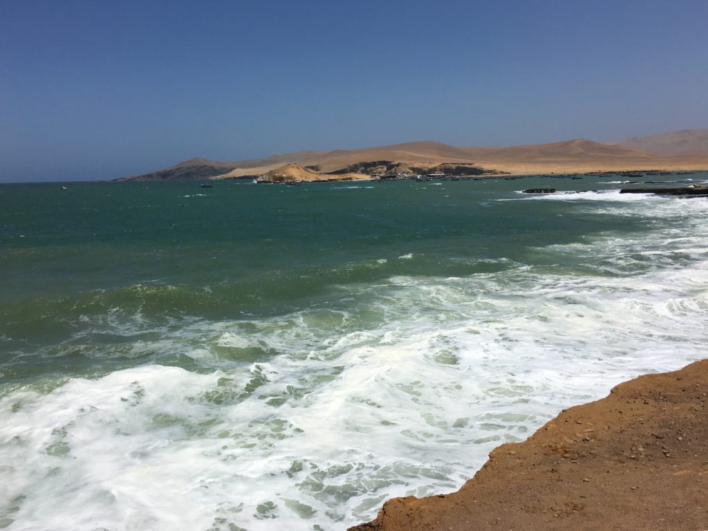 Paracas National Park Reserve