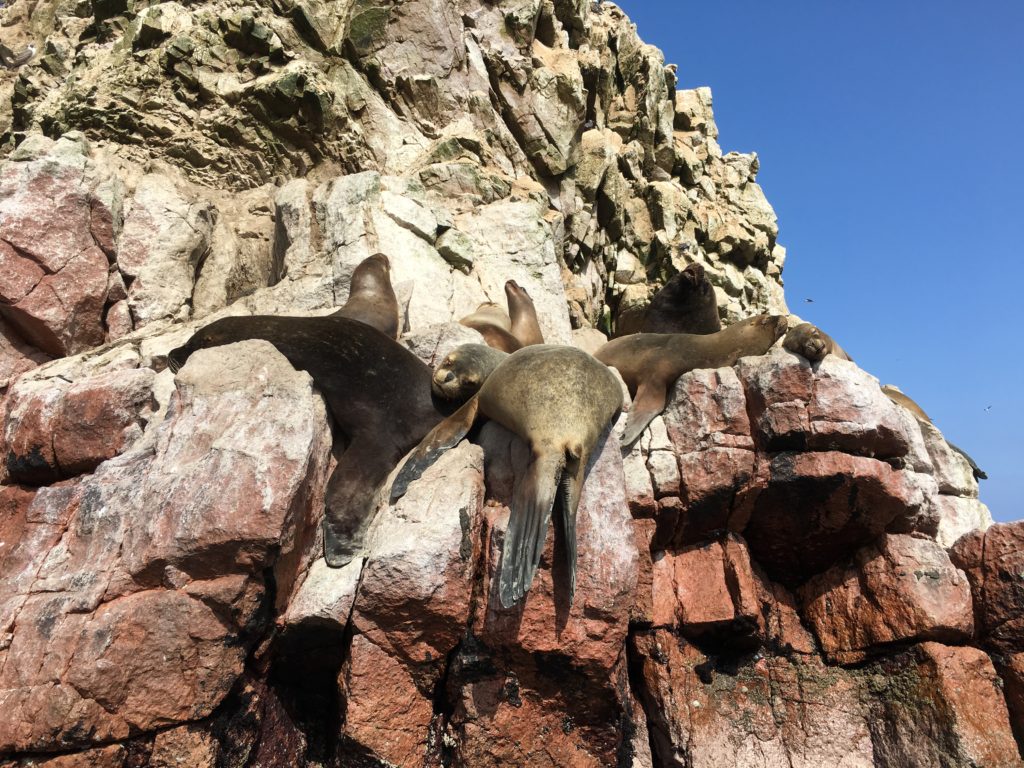 Islas Ballestas