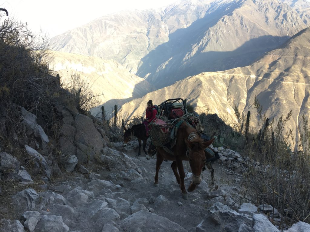 Colca Canyon