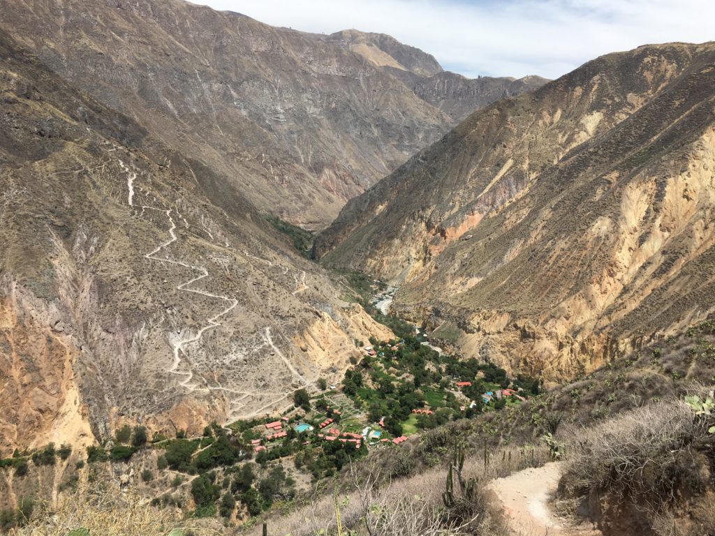 Colca Canyon Oasis