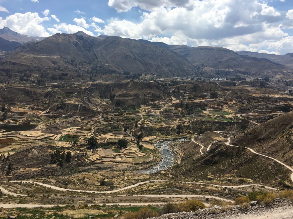 Colca Canyon Terrassen 