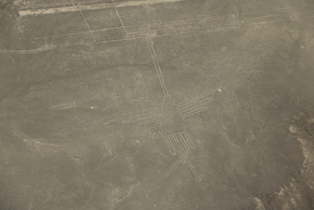 Nazca Linien Hummingbird