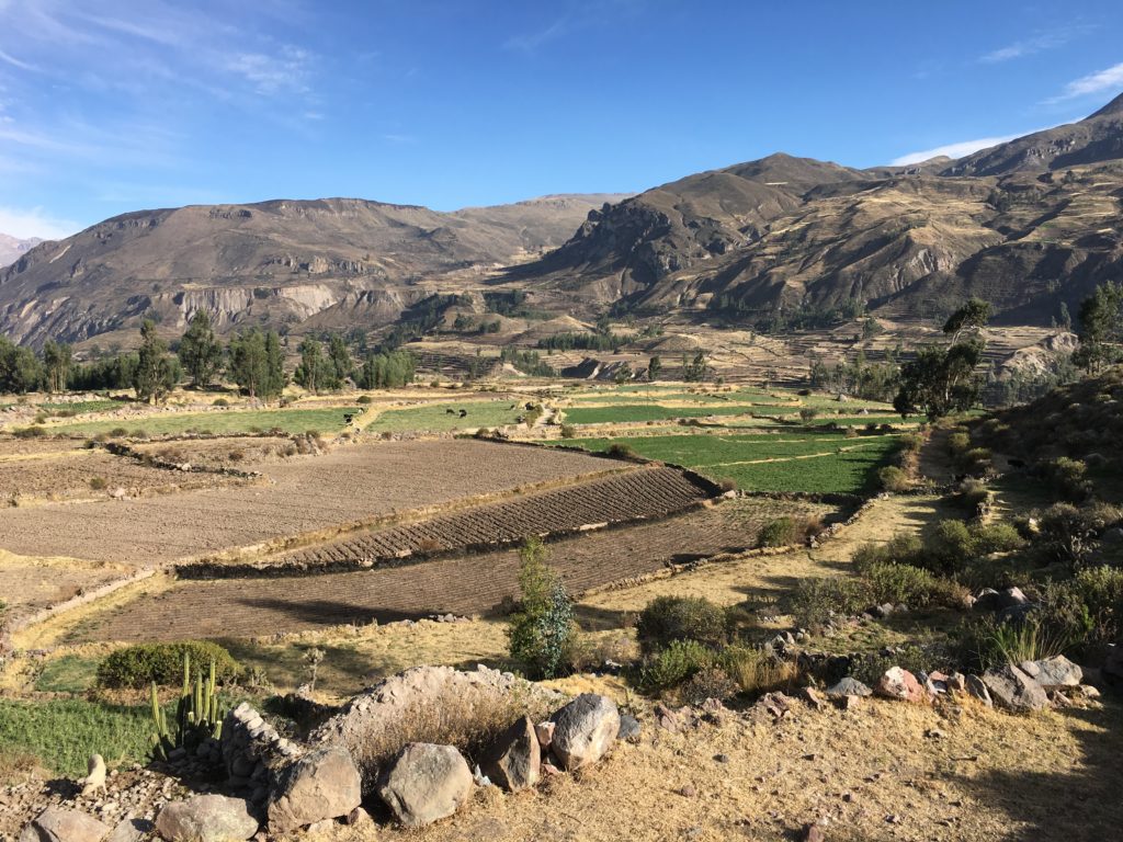 Colca Canyon - Cabanaconde