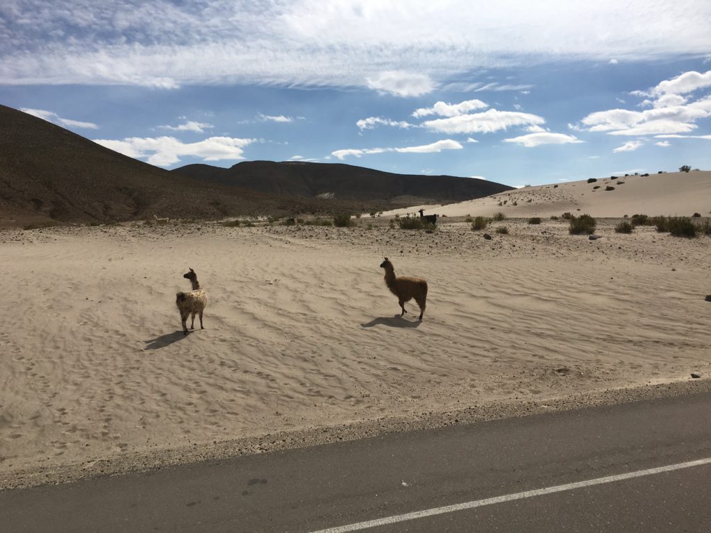 Sucre Uyuni - Landschaft