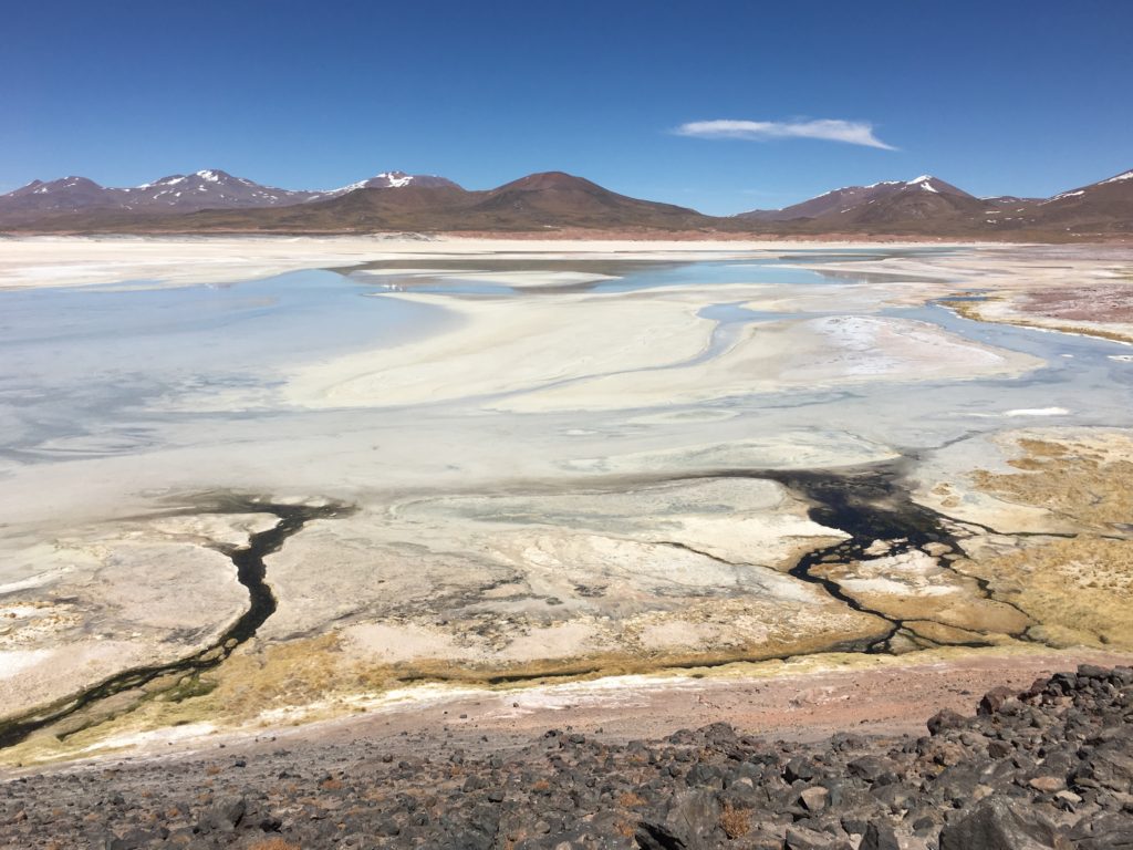 Laguna Miscanti