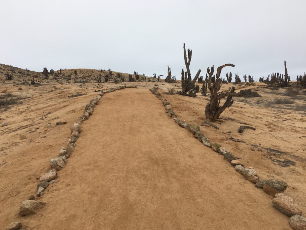 Nationalpark Pan de Azúcar 