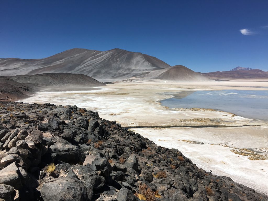 Laguna Miscanti