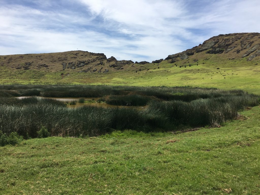 Rapa Nui - Landschaft 