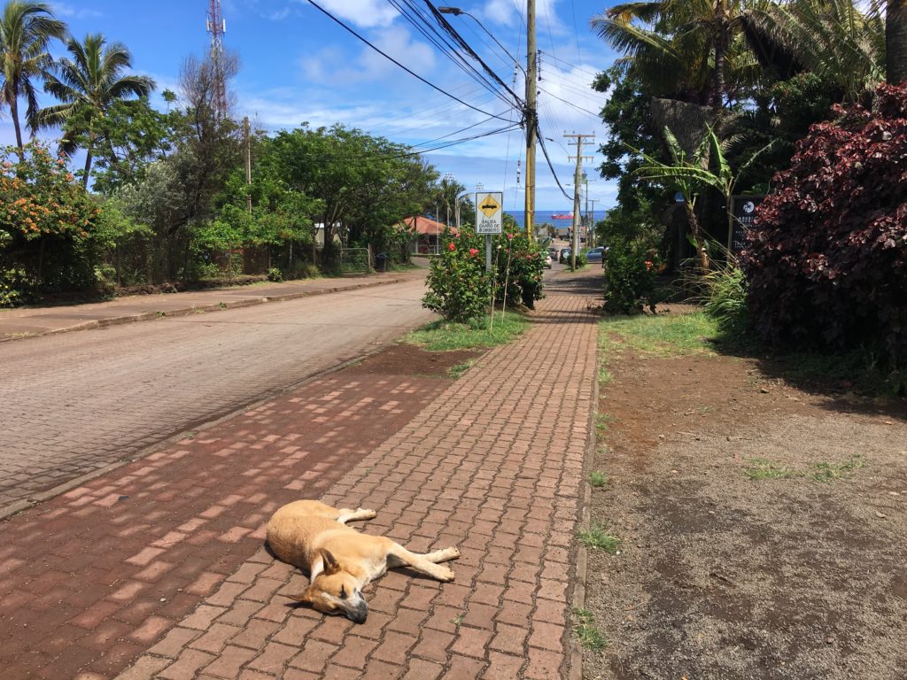 Rapa Nui - Hanga Roa