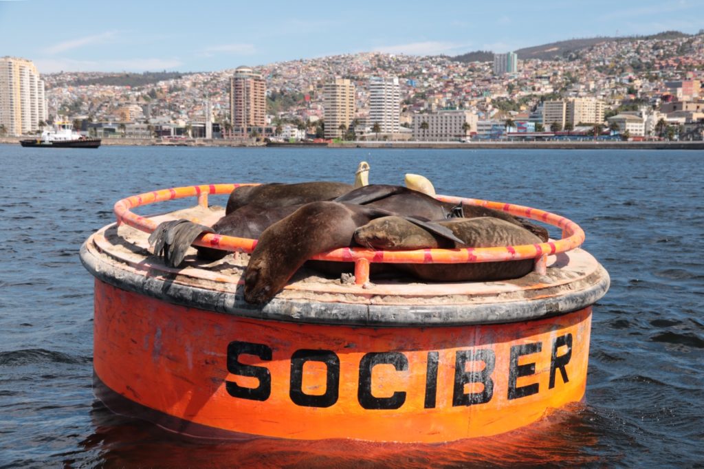 Valparaíso Hafen