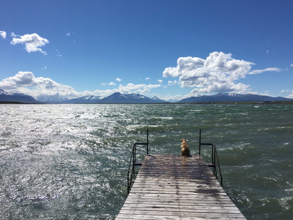 Puerto Natales - Küste