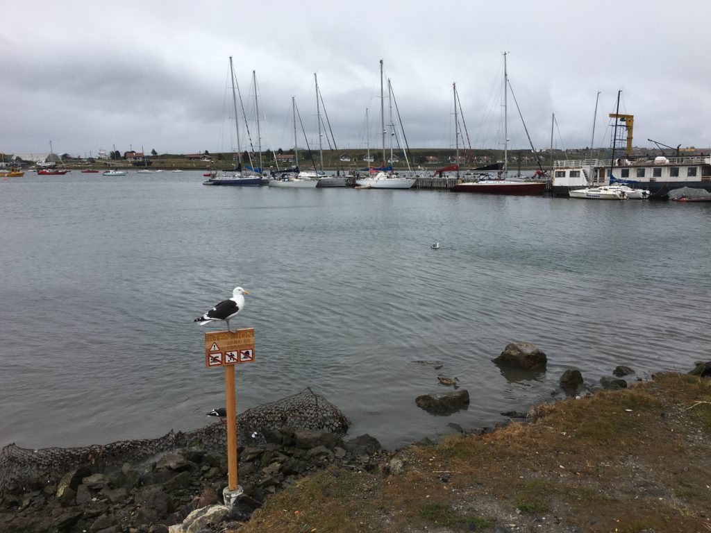 Ushuaia Hafen