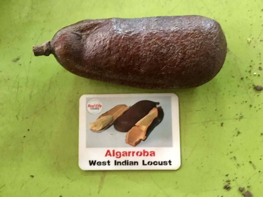 Medellín - Exotic Fruits Tour - Algarroba