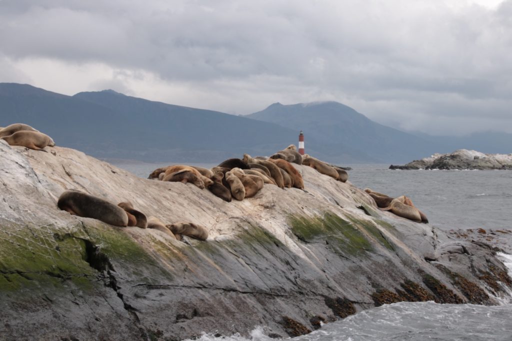 Ushuaia - Beaglekanal 