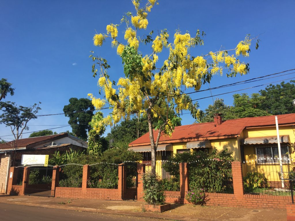 Puerto Iguazú - Hotel