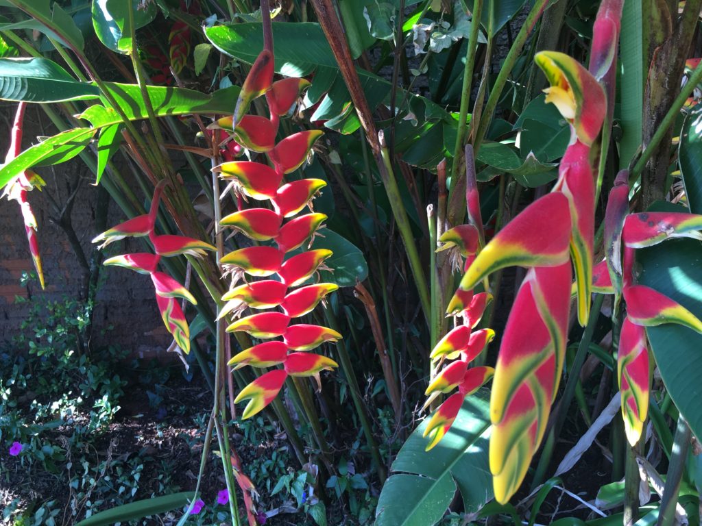 Puerto Iguazú - Hotel Garten