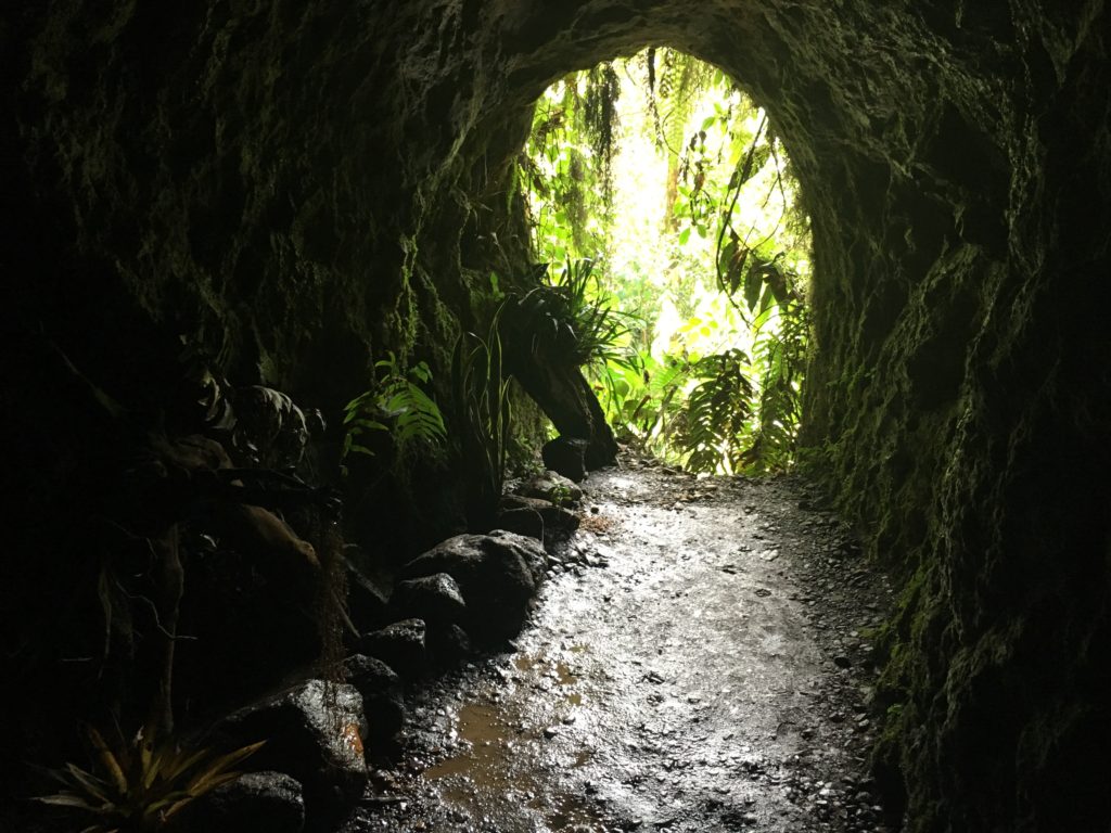 Jardín - Túnel Jardín de Roca