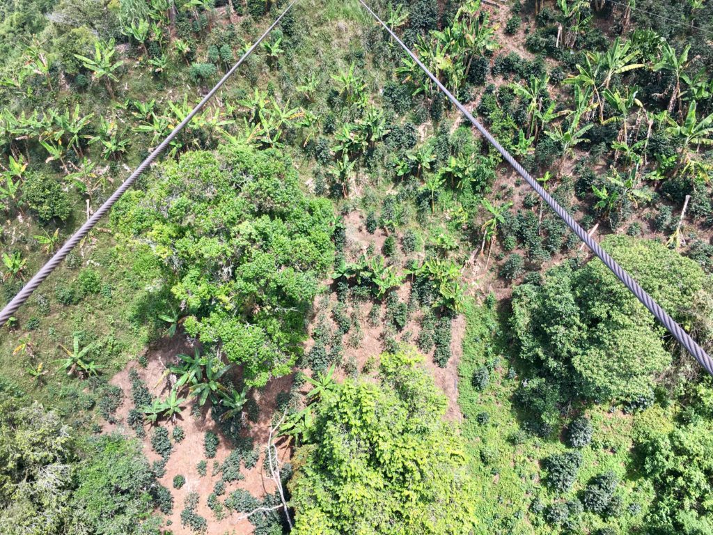 Jardín - La Garrucha 