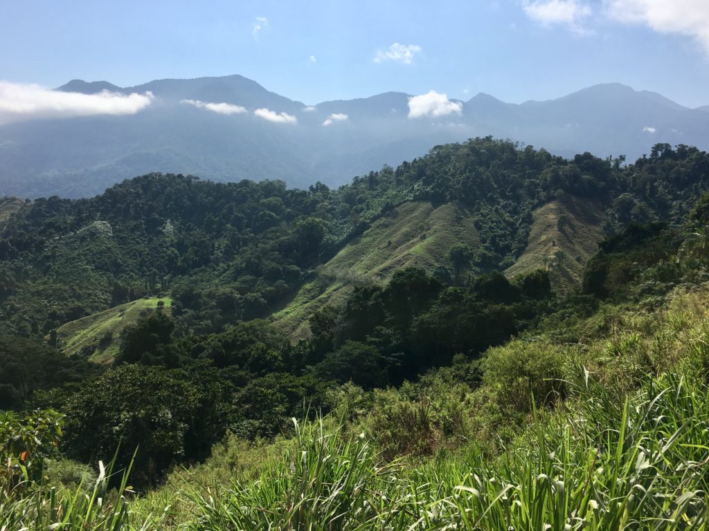 Trek Ciudad Perdida