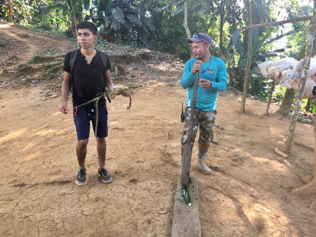 Trek Ciudad Perdida 