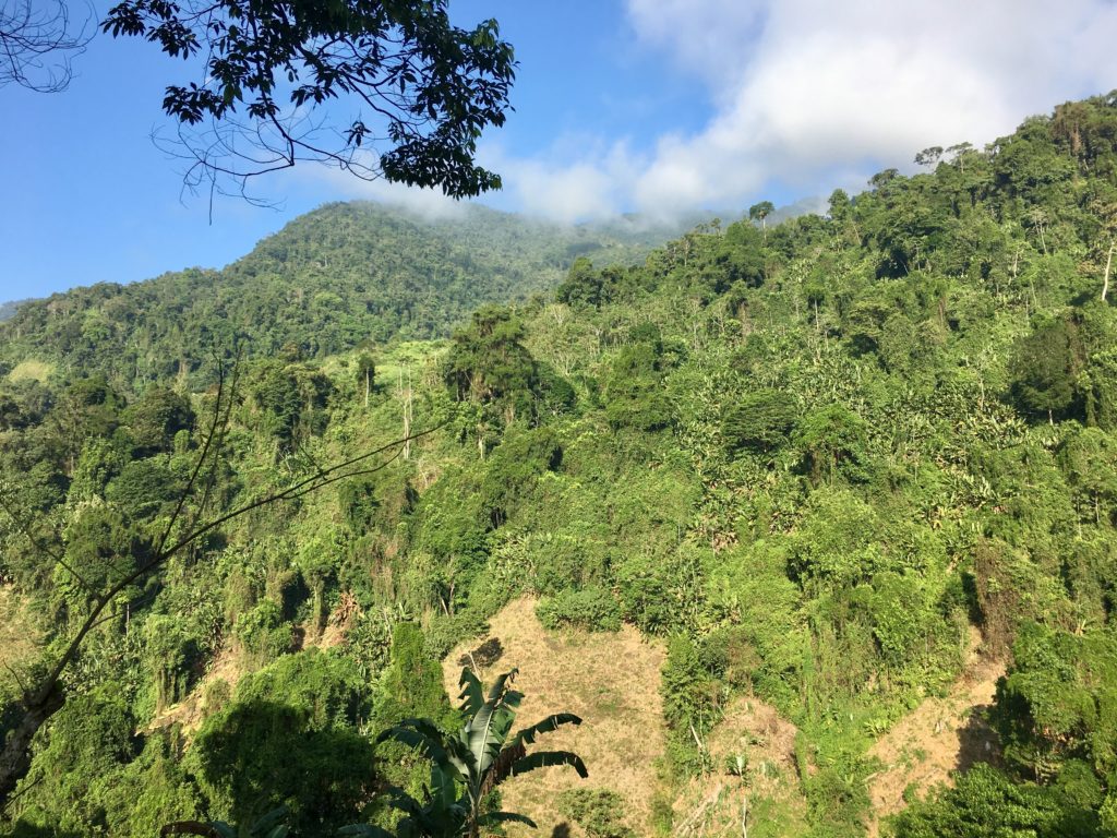 Trek Ciudad Perdida