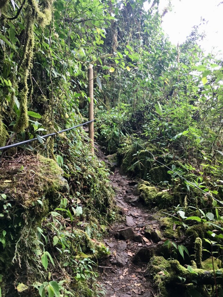 Jardín - Wanderweg La Cueva del Esplendor 