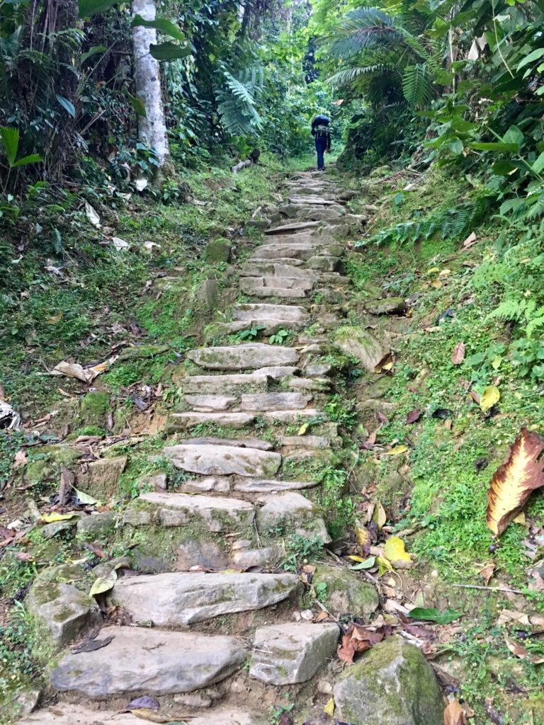 Trek Ciudad Perdida - Treppenstufen