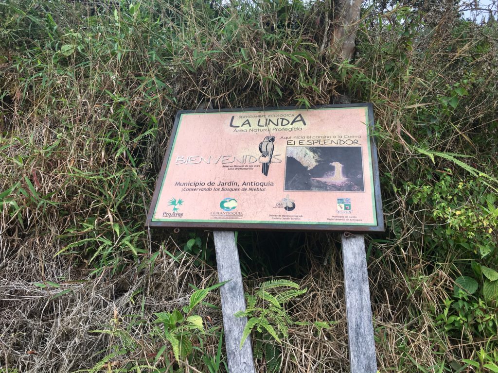 Jardín - Weg zur La Cueva del Esplendor