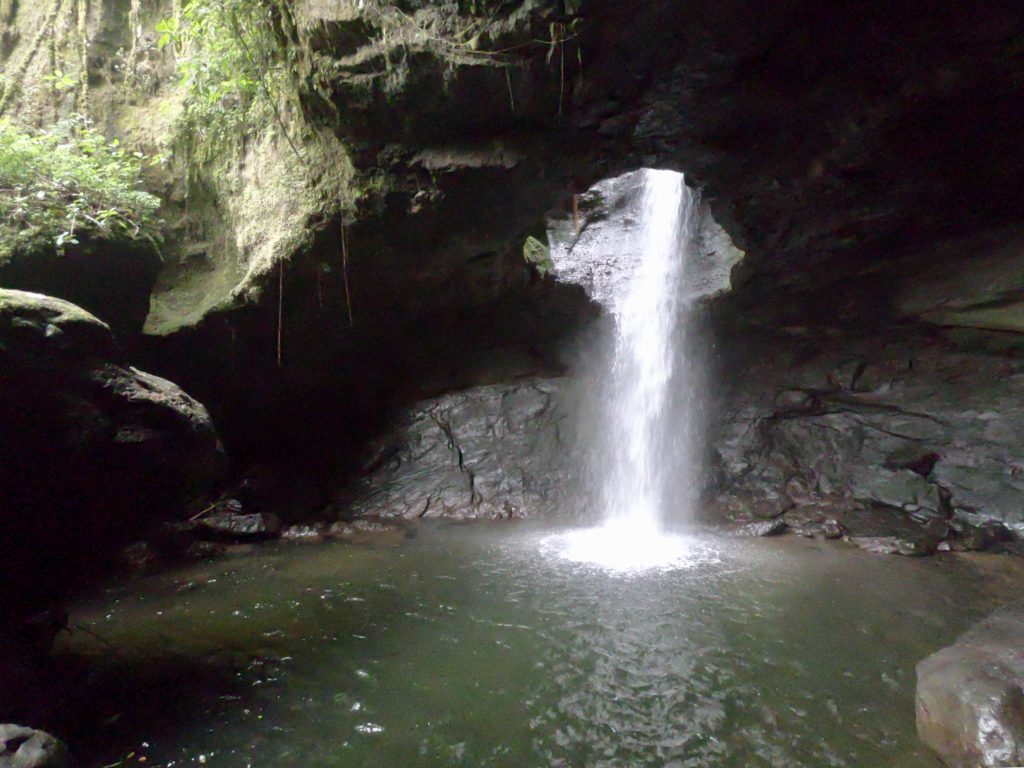 Jardín - La Cueva del Esplendor 