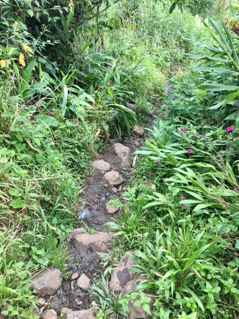 Jardín - Wanderweg La Cueva del Esplendor 