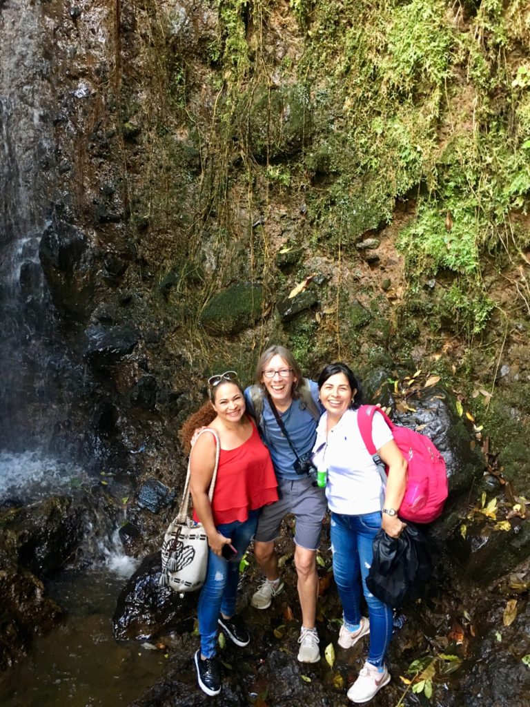 Jardín - Túnel Jardín de Roca