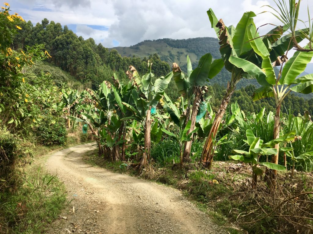 Weg von der La Cueva de Esplendor nach Jardín 