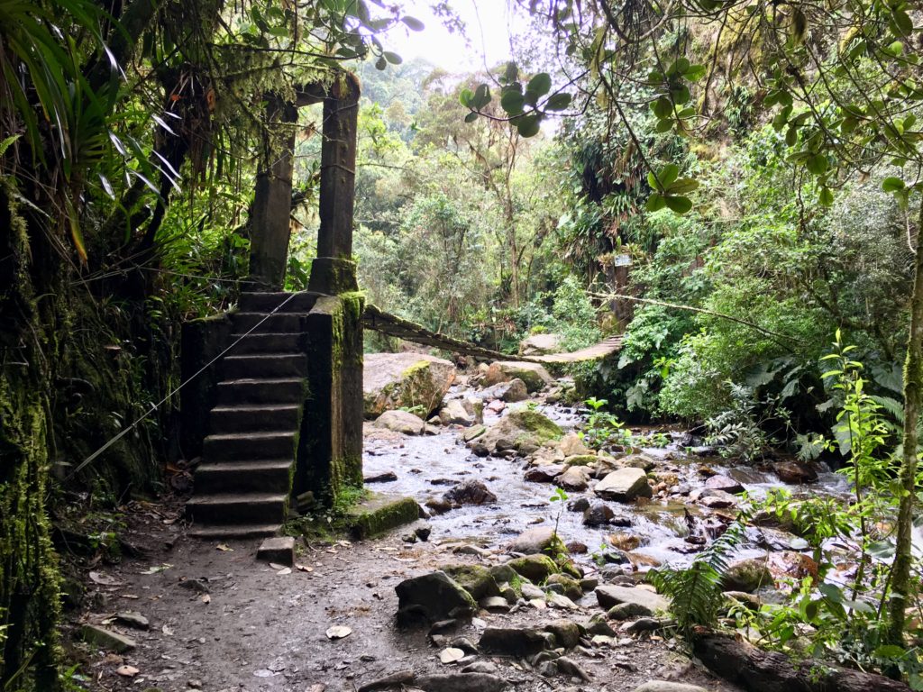 Salento - Cocora Valley Trek