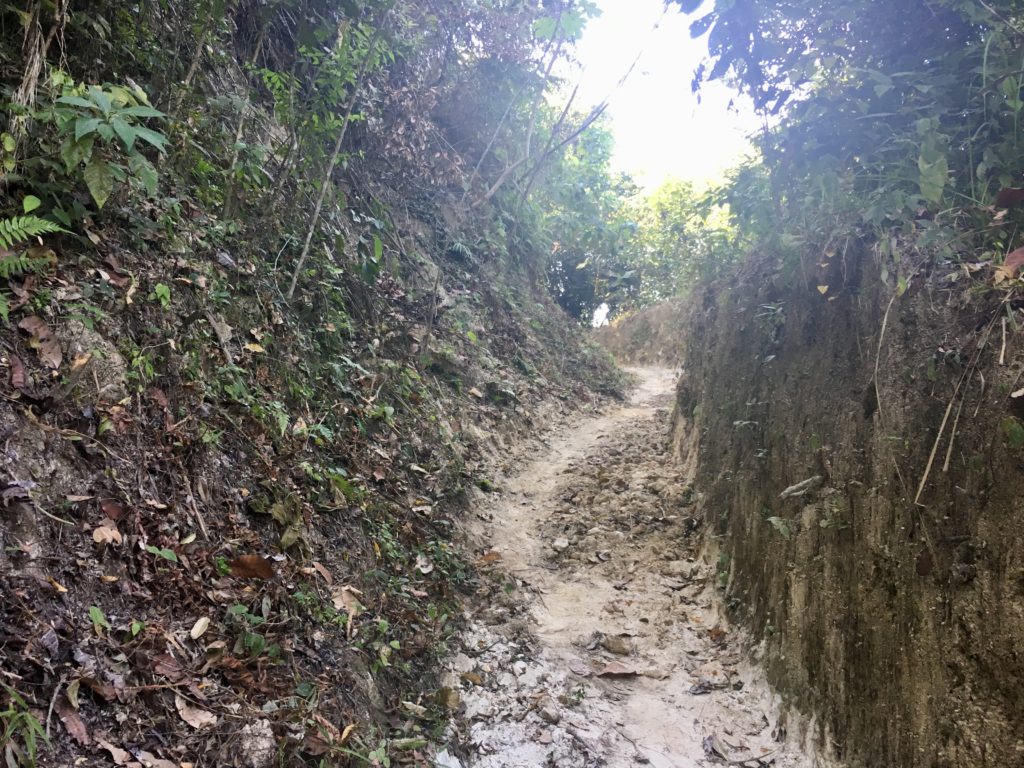 Trek Ciudad Perdida