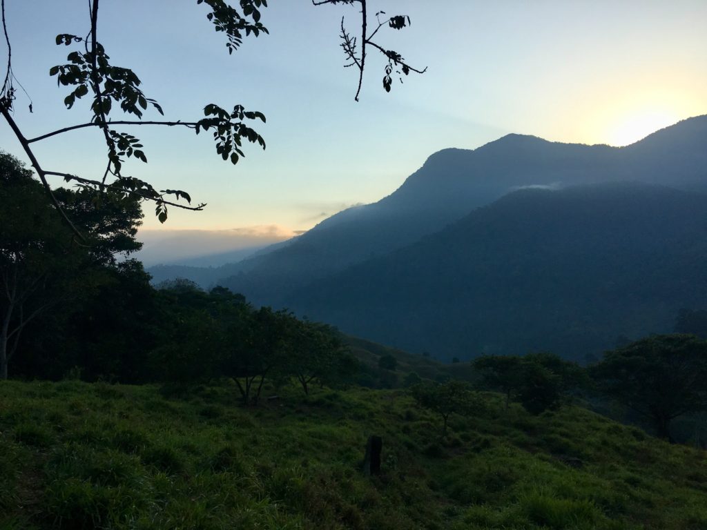 Trek Ciudad Perdida 