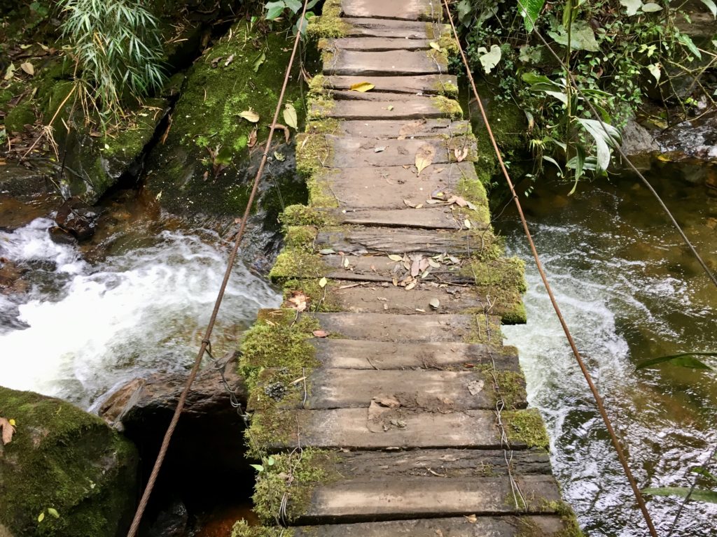 Salento - Cocora Valley Trek 