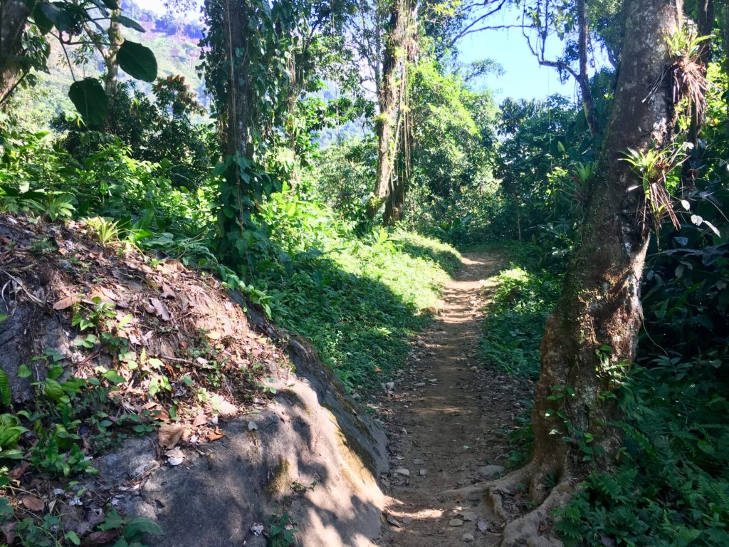 Trek Ciudad Perdida 