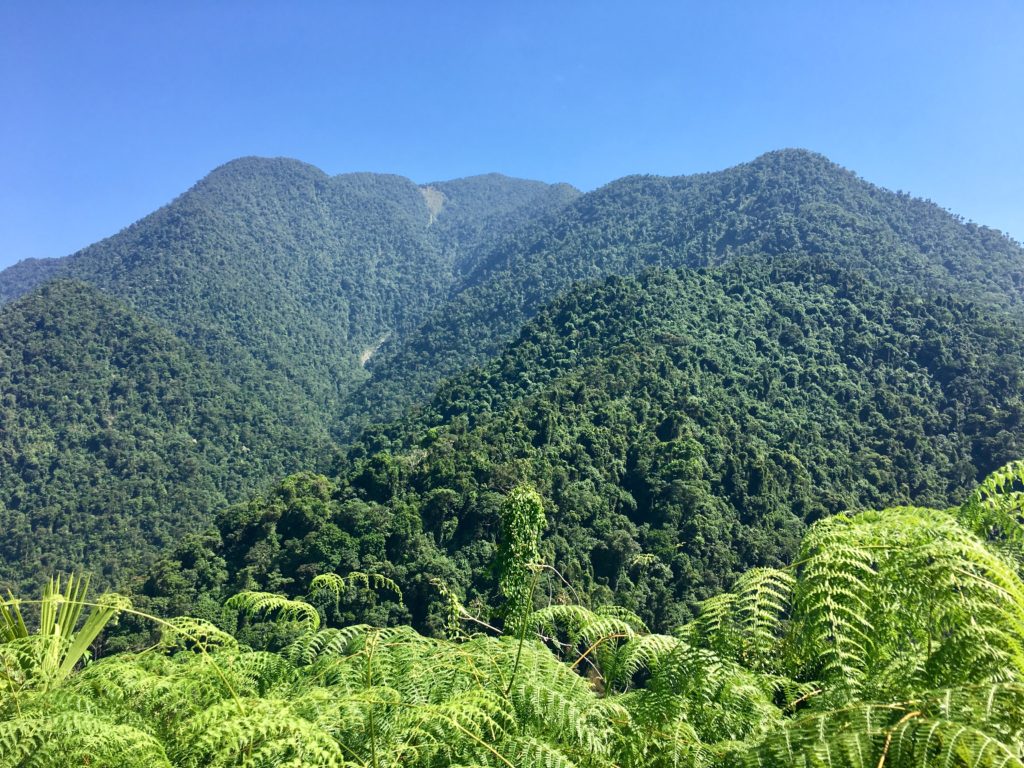 Trek Ciudad Perdida 