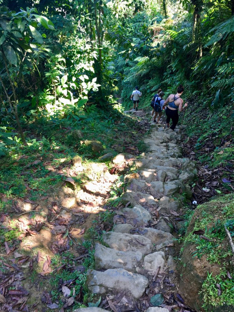 Trek Ciudad Perdida - Treppen