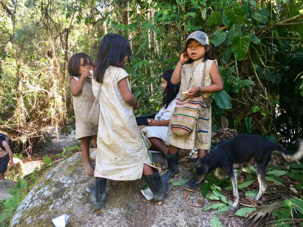 Trek Ciudad Perdida - Kogi